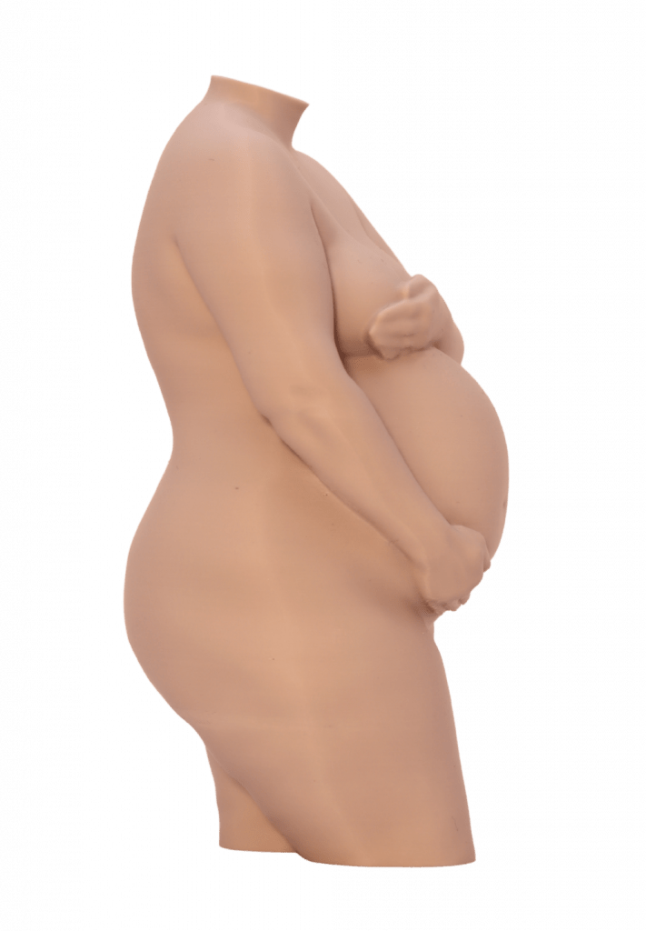 Representación detallada de una barriga de embarazo en formato artístico 3D.